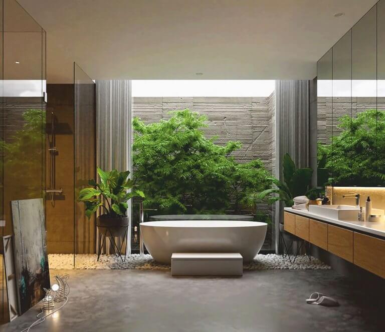 növények a fürdőszobában